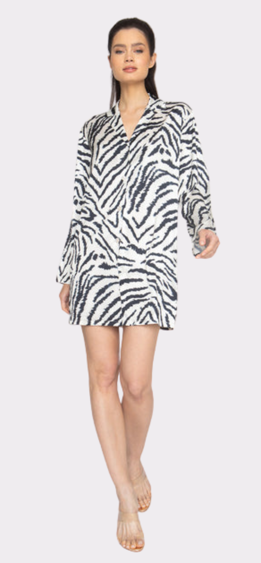 Madagascar Boyfriend Shirt